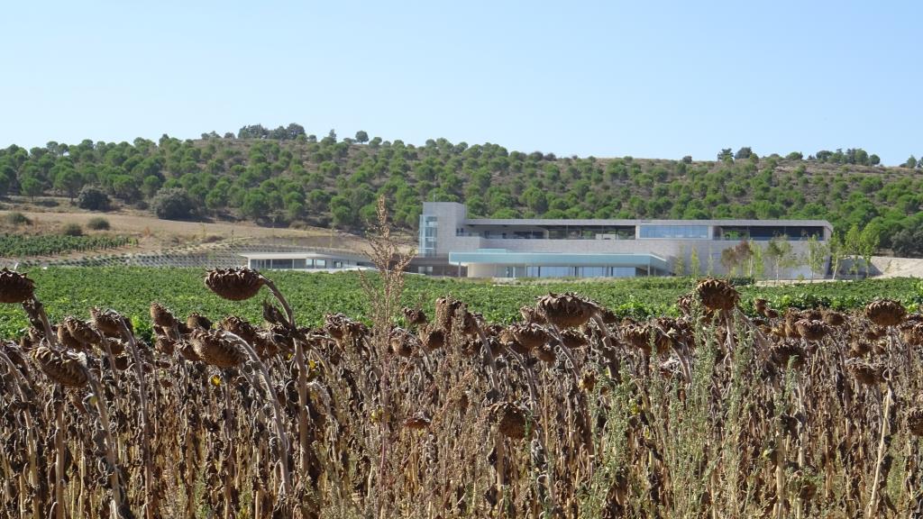 Aalto Winery in Ribera del Duero