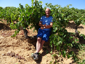 Caspar Bowes Bowes sitting on a Tempranillo vine in Ribera del Duero