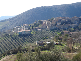 A view of Castelnuovo dell'Abate from above