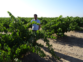 Eduardo Garcia in the vineyard