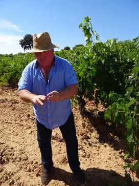 Jesus Sastre in the vineyard