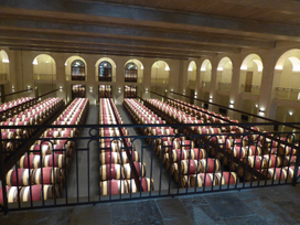 The barrel cellar at Château Montrose