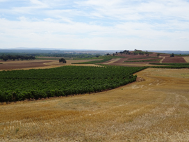A view of Pago de Santa Cruz