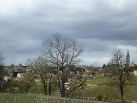 The view from Château  Pavie Macquin