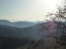Priorat vineyards and the view