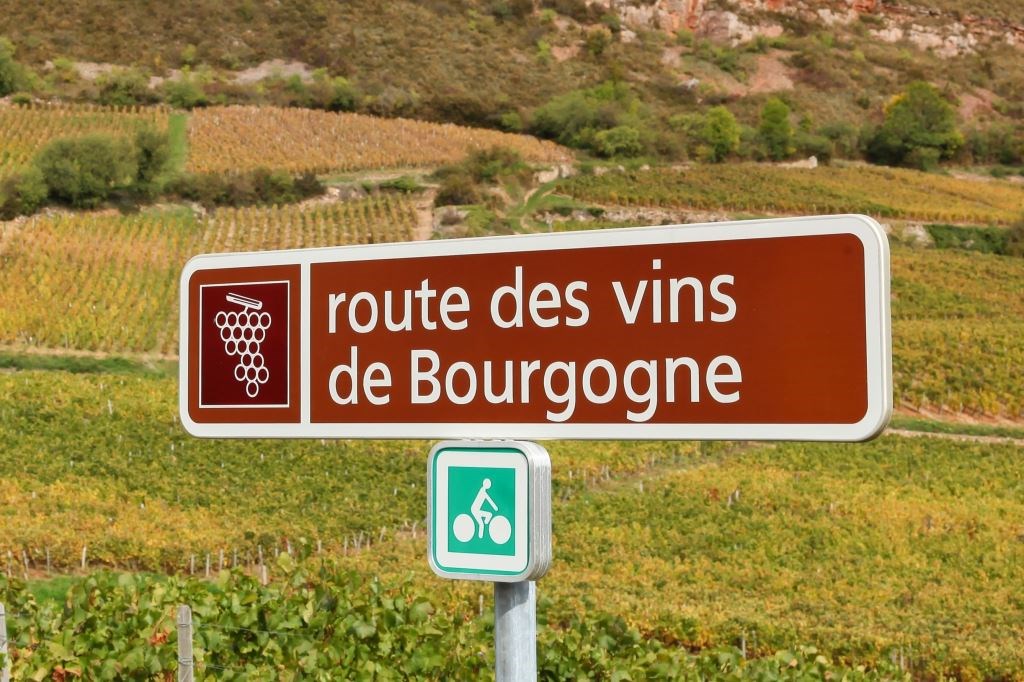 2024 Burgundy Review