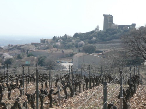 2017 Vintage from Château de Beaucastel