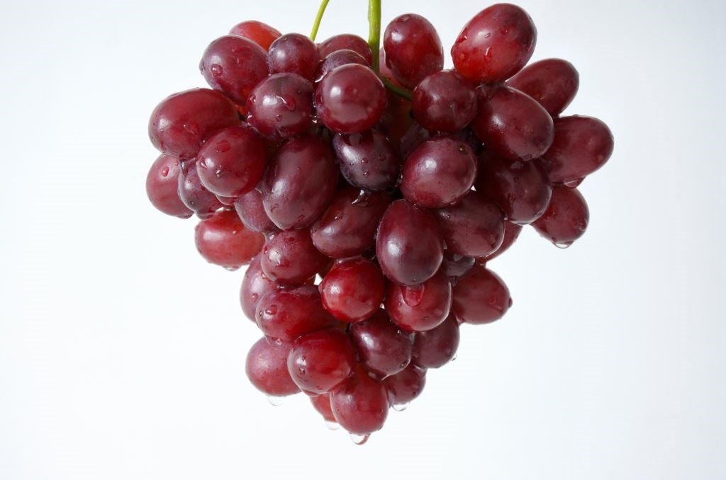 The importance of the grape variety