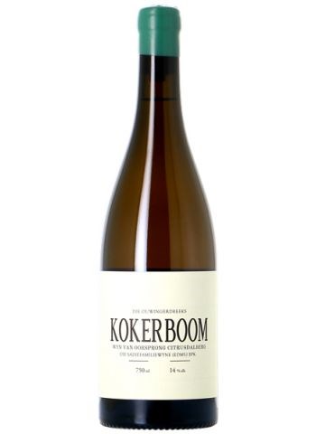 2020 Kokerboom, Sadie Family | Image 1