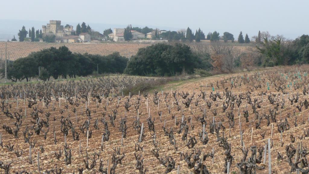 Top Southern Rhone Wines from Bowes Wine