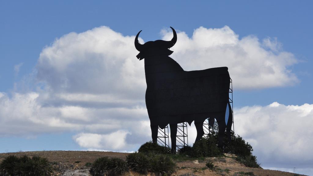 Sensational Spanish Wines